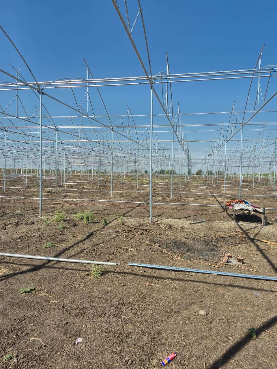 Large-Scale Polyhouse Project